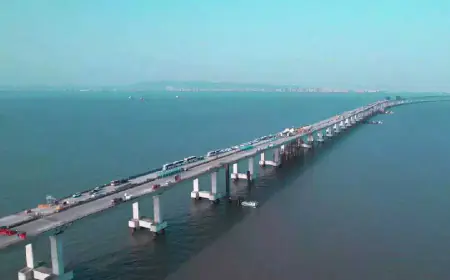 Mumbai Trans Harbour Link: Mumbai CM Eknath Shinde said the country's largest sea bridge will open on January 12