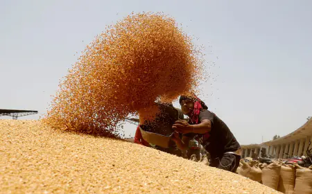 Due to better crops, wheat production is expected to be a record 114 million tonnes, good temperature will increase the pace