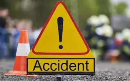 Andhra Pradesh: TSRTC bus and truck collision in Nellore, leaving the driver dead at the scene and seven more critically injured