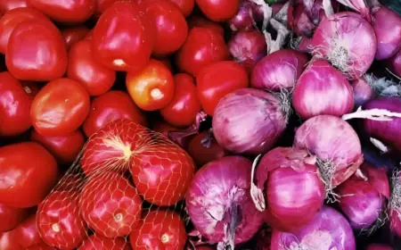 CRISIL Report: Prices of vegetables reduced, plates became cheaper by 5% due to reduction in prices of onion and tomato
