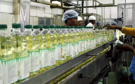 50% export duty on molasses, reduced import duty on edible oil till March 2025, drop in windfall tax on crude oil