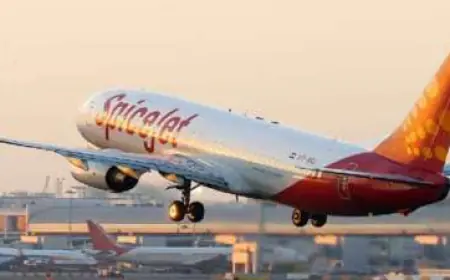 Spicejet: Passenger stuck in plane's toilet for an hour due to lock malfunction, airline said this