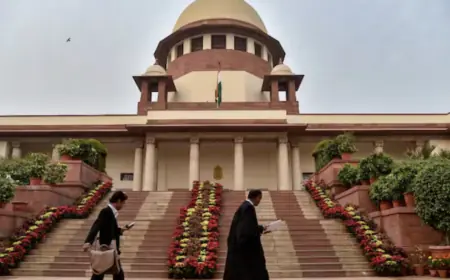 Supreme Court asked- can political parties use public transport in rallies without paying?