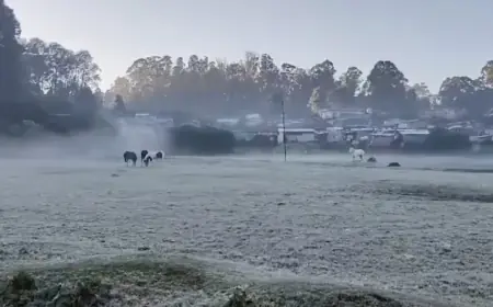Ooty becomes 'mini Kashmir', mercury reaches 1.3 degrees; Layer of snow spread on the ground in this district of Tamil Nadu