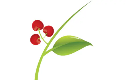 HIOX Softwares Launches Competitive Cloud Platform, HIOX Cloud