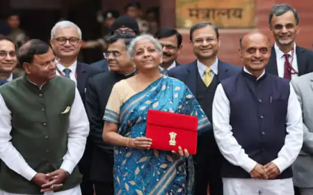 What did Finance Minister Nirmala Sitharaman say about FAME Scheme and EV ecosystem in the Interim Budget?