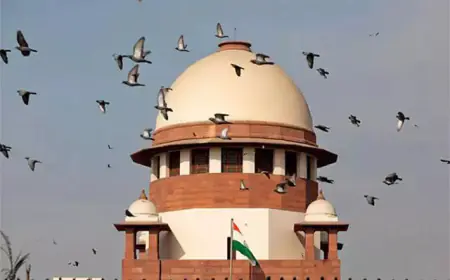 Supreme Court rejects demand for evening courts and virtual hearing, says this