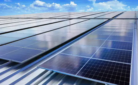 Electricity Amendment Rules: Companies will bear the cost of solar system distribution, option to choose connection type