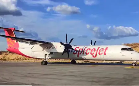 Many people including SpiceJet's Chief Commercial Officer left the company, the company said this