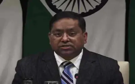 MEA: 'Strict action will be taken against those guilty of violence', External Affairs Ministry said this on Gujarat University incident