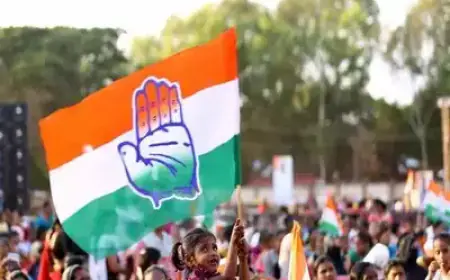 Order will come today on Congress's petition, appeal is against the action of Income Tax Department