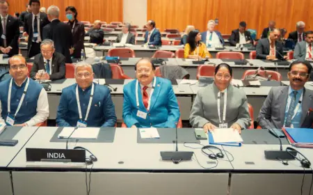 India showed mirror to Pakistan in IPU, said- do not preach on democracy