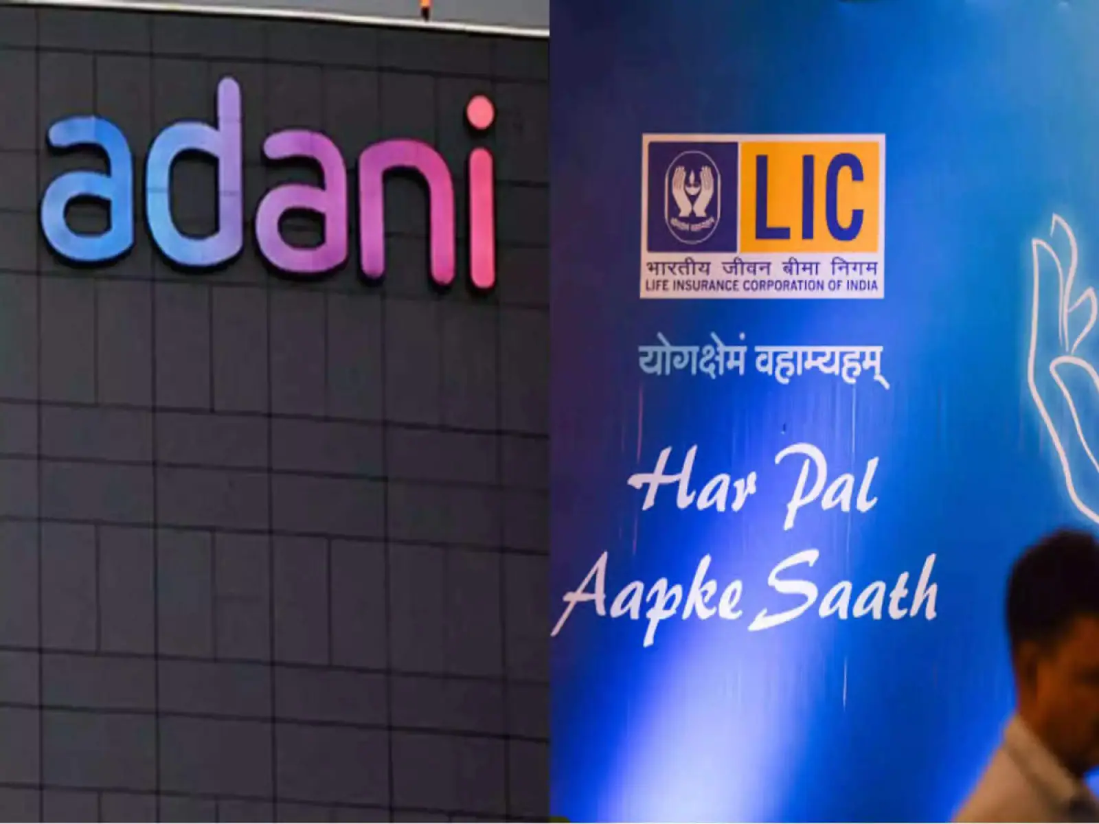 Adani Group shares recovered from the dark shadow of Hindenburg, filled the coffers of LIC, gave profit of so many crores