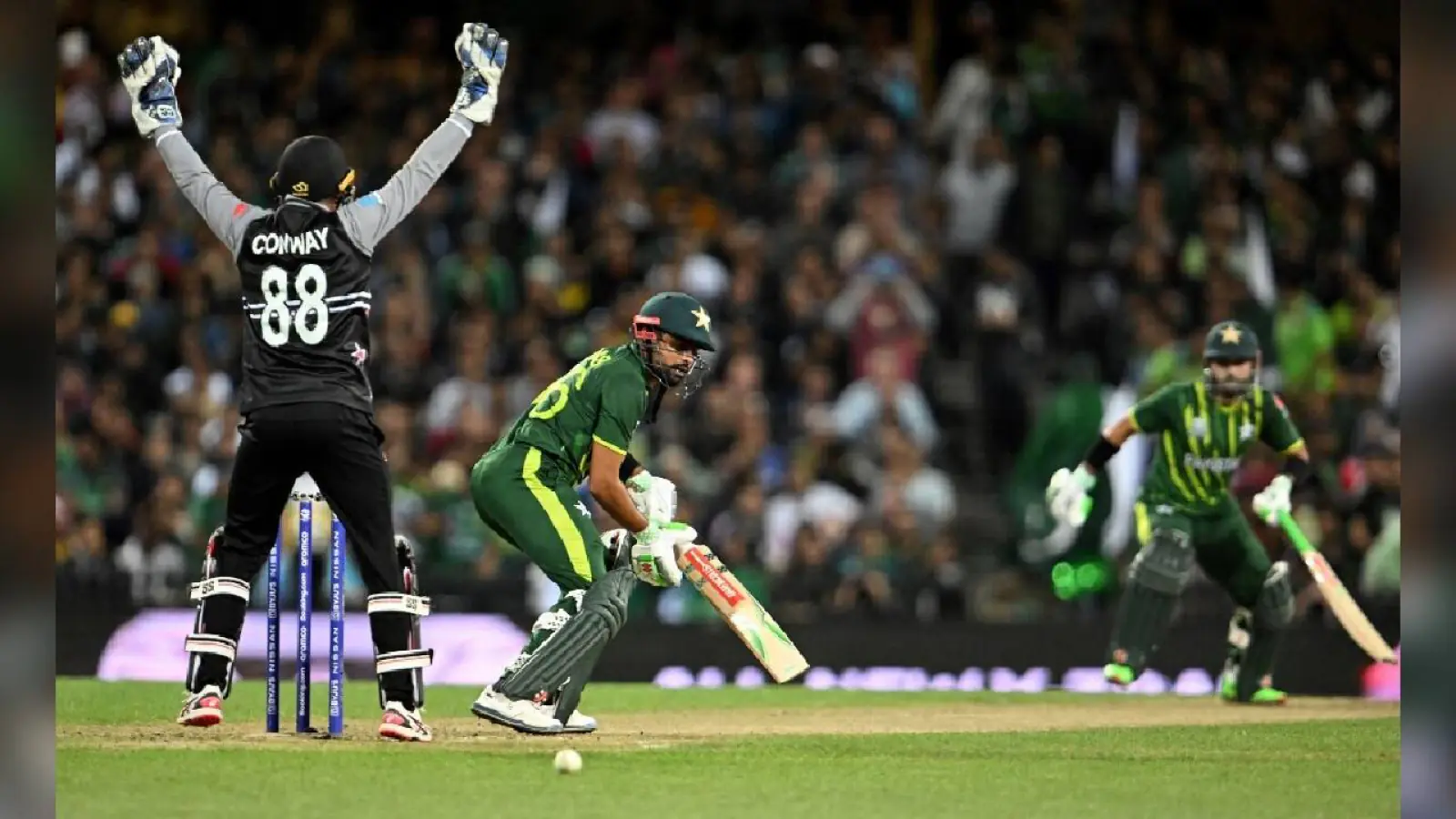 New Zealand won the toss and decided to bowl, this stormy bowler returns to Pakistan's playing