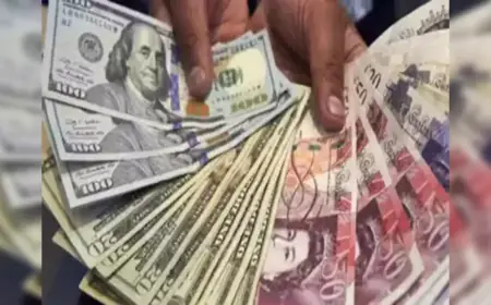 India's Forex Reserves exchange reserves reach new highest level, know how much has increased