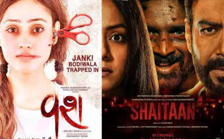 Breaking Boundaries: How ‘Vash' Paves the Way for Gujarati Content in Bollywood