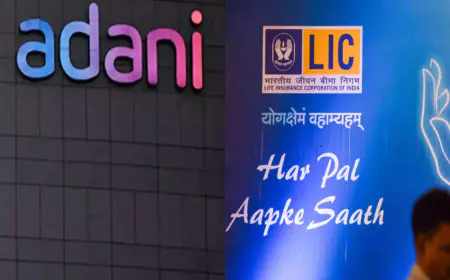 Adani Group shares recovered from the dark shadow of Hindenburg, filled the coffers of LIC, gave profit of so many crores