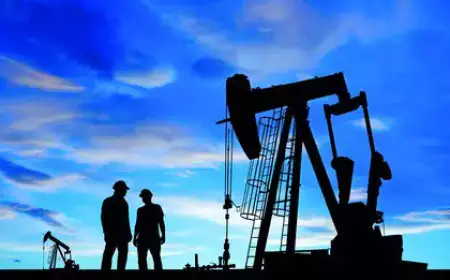 India's crude oil import prices decreased by 16%, know what are the figures