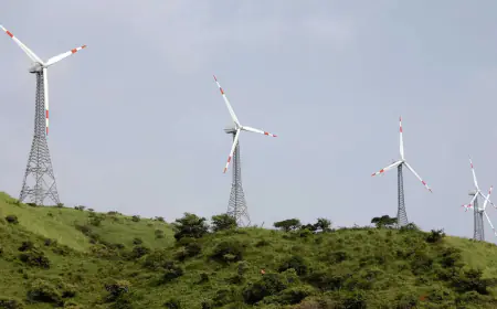 Karnataka, Gujarat top in adopting clean energy, this truth of UP and Bihar came to light