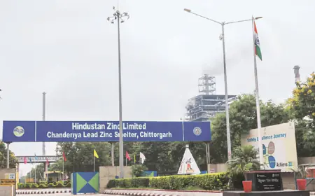 Decision on OFS of Hindustan Zinc after market test, government's 29.54 percent stake in the company