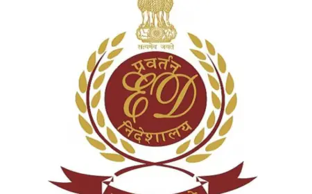 Maharashtra ED Raids: ED strict in Ponzi scam of Rs 100 crore, raids at many places