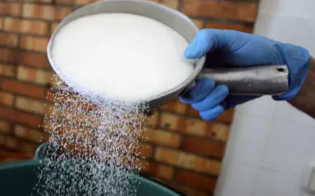 ISMA demands export of 20 lakh tonnes of sugar from the government, farmers will get benefits