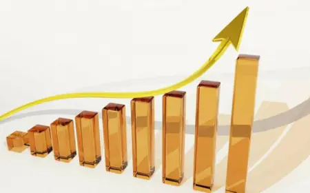 Service sector is growing at a 14-year high thanks to foreign orders and effective demand