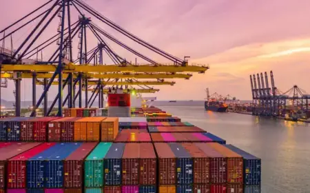 Government collected Rs 852 crore from amnesty scheme for exporters, figures may increase further