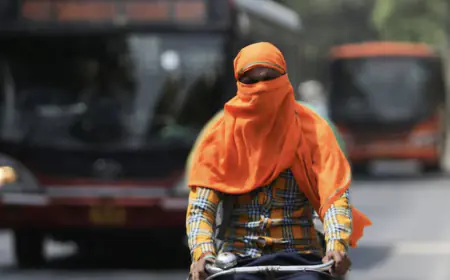 Wind coming from Pakistan-Afghanistan is making India hot, extreme heat will trouble the country for a week more