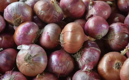 Effort to preserve onion for a long time, government is taking this big step
