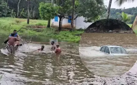 Four people were using Google Map to travel in Kerala, their car fell into the river