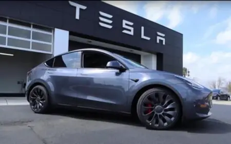 Tesla will produce less of its best-selling electric car Model Y in China, claims report