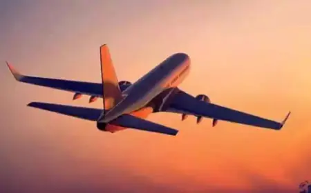 Airfares increased by 9% in January-March, premium class bookings increased by 20%