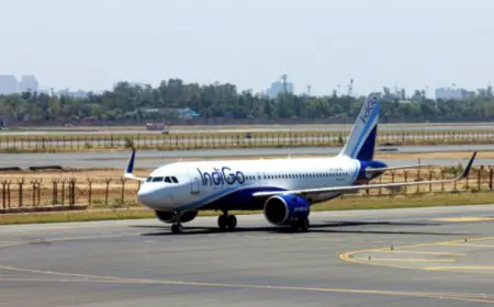 Indigo gave women the option to choose their preferred seat on the flight, know what is the plan