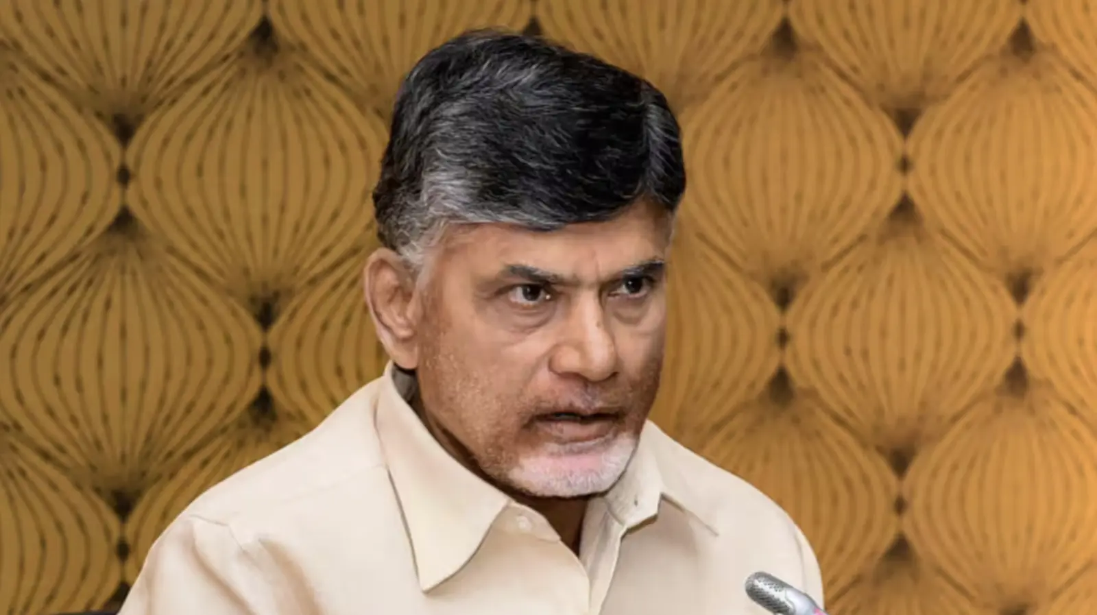 Chandra Babu Naidu family's wealth increased by ₹1225 crores as soon as he became the kingmaker, this is the reason