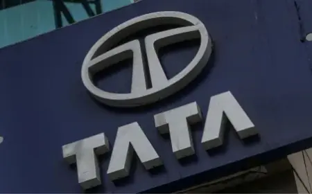Tata Motors' sales increased by 2%, the company sold more than 75 thousand cars in May 2024