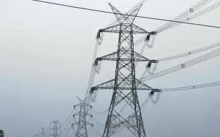 All-time record of electricity demand in India, know how much was the demand amid the scorching heat in the country