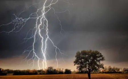 Rain wreaking havoc in Marathwada, 14 people dead so far, 11 people struck by lightning