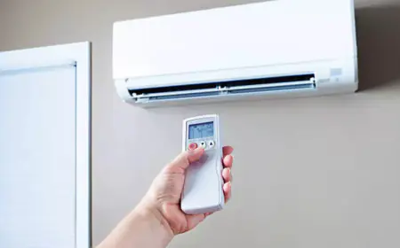 AC industry sees 50% growth in three months due to extreme heat; parts have to be ordered by air