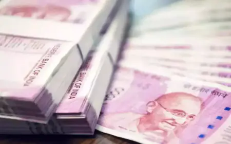 Online account created for trading, company turned out to be fake, 2.5 crores withdrawn from account