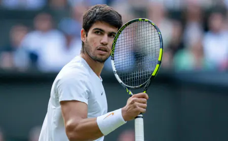 Wimbledon Tennis: Champion Alcaraz's first-round path is very easy