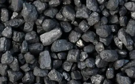 Coal import growth rate fell below 2.5% in the last decade, the ministry issued a statement giving information