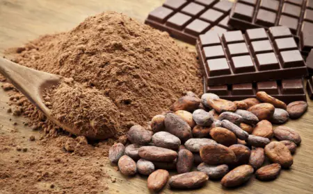 Three new species of a plant close to cocoa discovered, claim- these will increase chocolate production worldwide