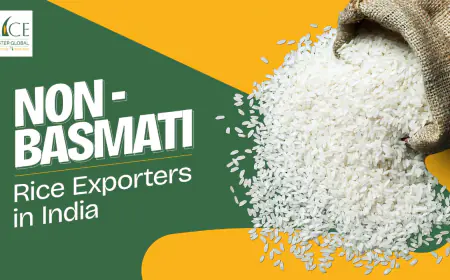Rice Master Global: Setting New Standards as India's Emerging Rice Exporter