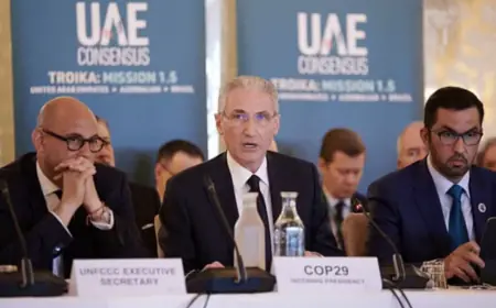 COP29 President said - political direction is needed to resolve disputes on climate finance target