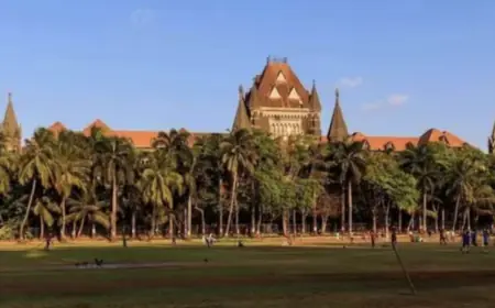 Bombay High Court's comment - Punishment cannot be avoided by making an excuse for not knowing the law