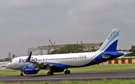 US Customs Department fines Indigo, passengers stranded in Istanbul for hours due to flight delay