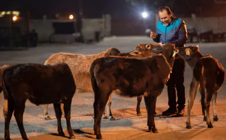 From Self-Inquiry to Compassionate Living: The Vedanta-Veganism Connection by Acharya Prashant