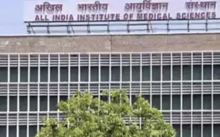 AIIMS will run 14-seater low-floor e-bus service, aim to increase transportation to the last mile