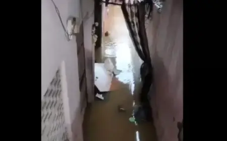 Basements of two houses filled with water in Jaipur; 3 people including a 4-year-old girl died